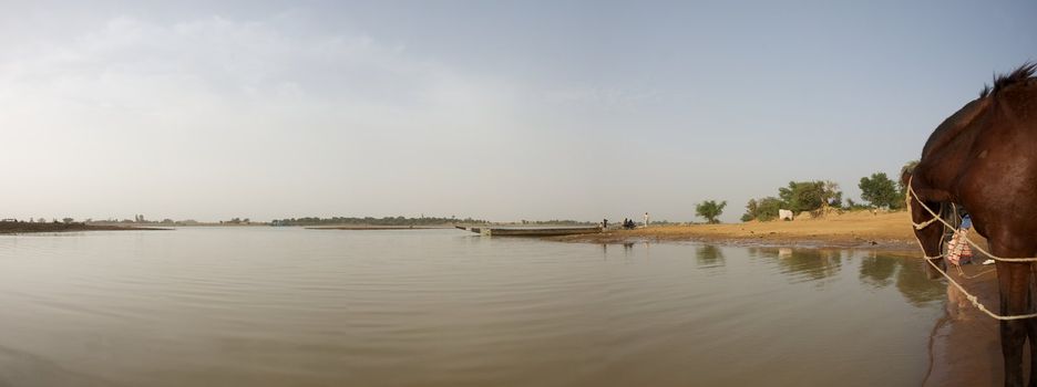 Peaceful panoramic view of the Delta of Niger, the big river in Mali and a horse