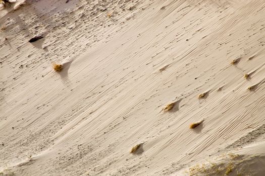 Close up sand of the Skeleton Coast, Namibia