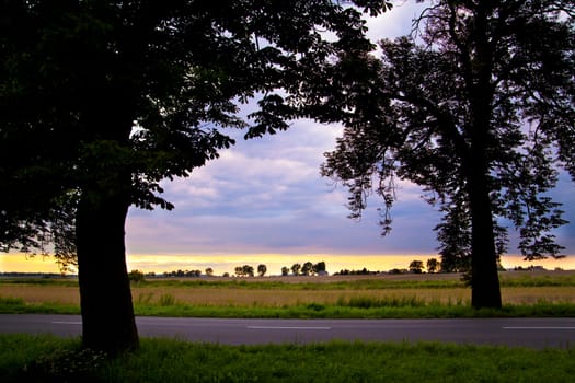 Couple trees against the dramatic sky during the evening
