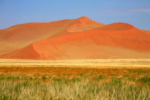 Namibia, Sossusvlei area, the Namib desert