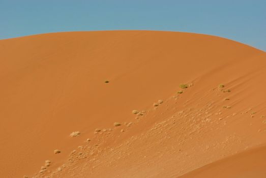 Incredible huge dunes of sand located in Sossusvlei in Namibia within the Namid desert