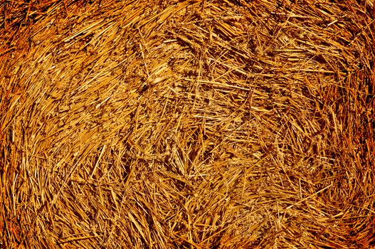 Closeup of a bale of hay in grunge.