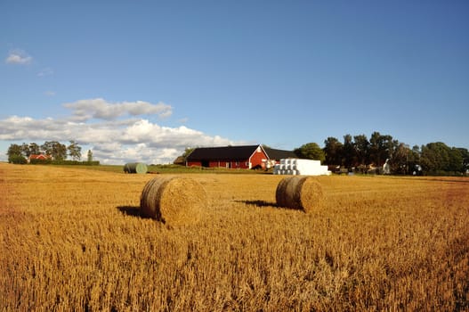 Field of freshly cut bales of hay with a red barn and farmhouse in the background.