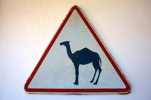 Camel crossing sign on white background
