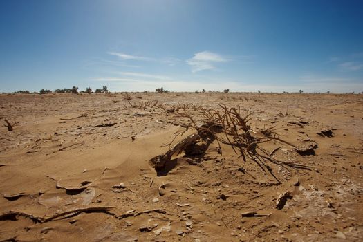 View of a wild landscape and desert in the south of Morocco