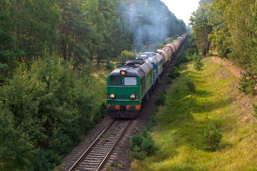 Freight train passing the forest
