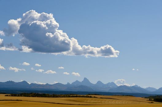 Harvested fields, the Teton Mountains and cumulus clouds, Teton County, Idaho, USA