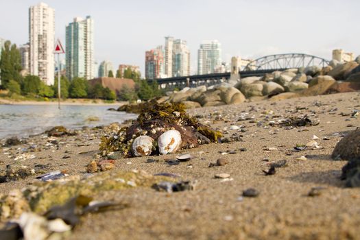 Low Tide at Burrard Inlet by Vanier Park Beach in Vancouver BC Canada