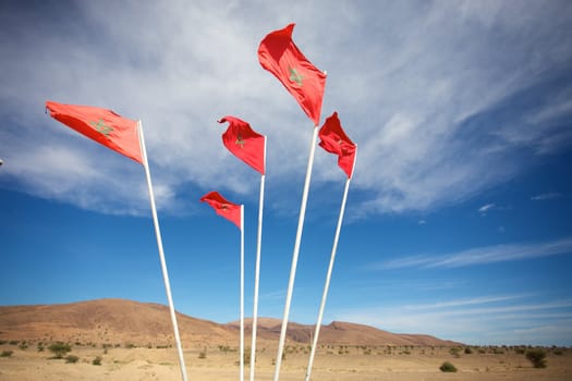 Moroccan flags in the south of Agadir