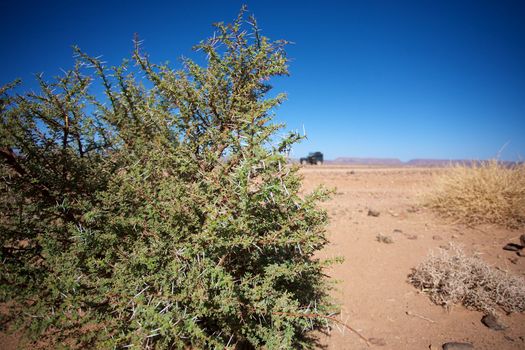 View of a wild landscape and desert in the south of Morocco