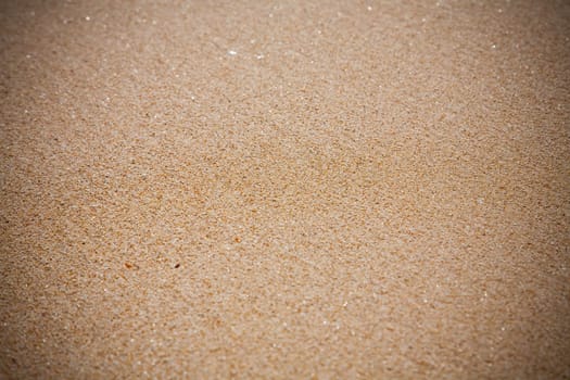 Sand beach close up photo , nice background for your projects