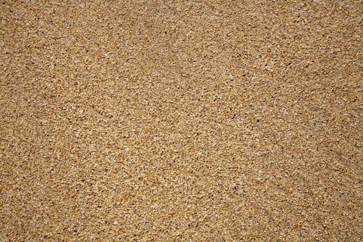 Sand beach close up photo , nice background for your projects