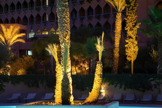 Swimming pool and palm trees in Marrakesh at night