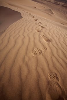 Sahara desert close to Merzouga in Morocco with blue sky and clouds