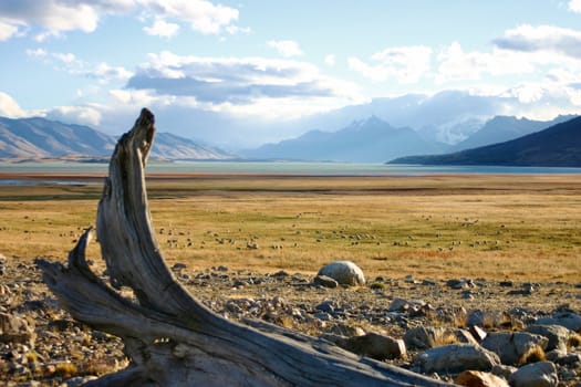 Landscape in patagonia close to El Calafate - perito moreno