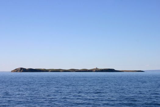 magdalena island in the straits of Magellan