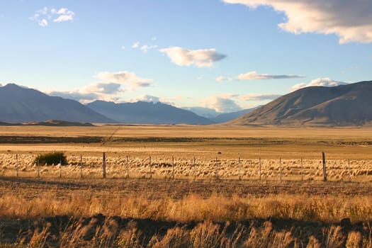 Landscape in patagonia close to El Calafate - perito moreno