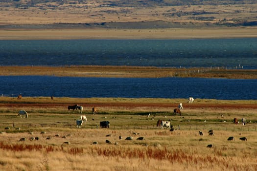 Landscape in patagonia close to El Calafate - perito moreno
