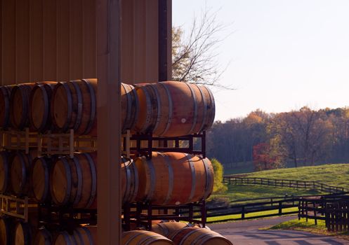 Stack of oak wine barrels by a farmland surrounded by autumn trees