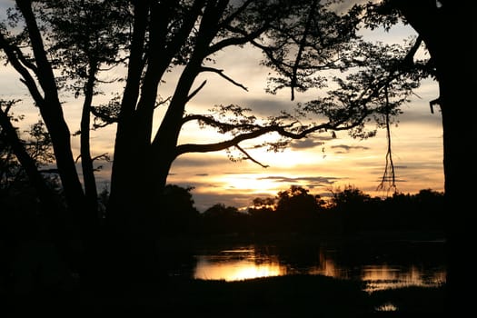 Okavango delta in botswana and sunset - Moremi Reserve