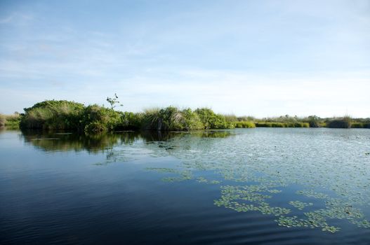 Okavango delta in North of Botswana