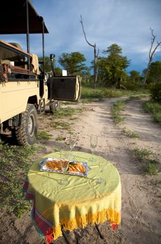 Champagne and a safari game drive in Botswana