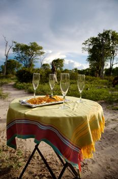 Champagne and a safari game drive in Botswana