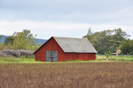 Red barn in rural landscape in Sweden.