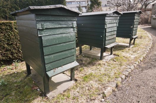 Green wooden beehives for flower impollination