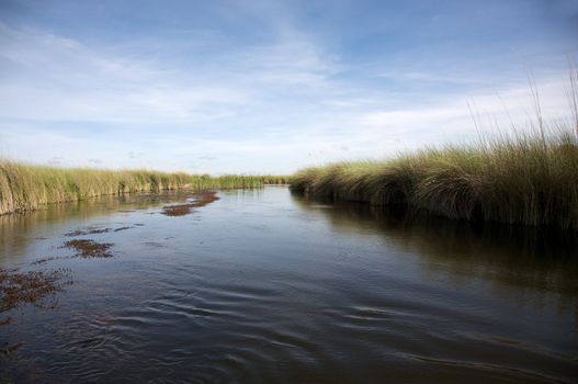 Landscape of water and grass in the Okavango Delta in North of Botswana. The Delta is the biggest sweatwater reservoir in this area and the water is absolutely clean