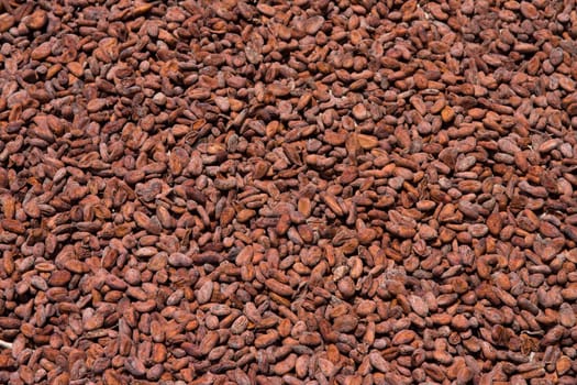 Raw cocoa beans background