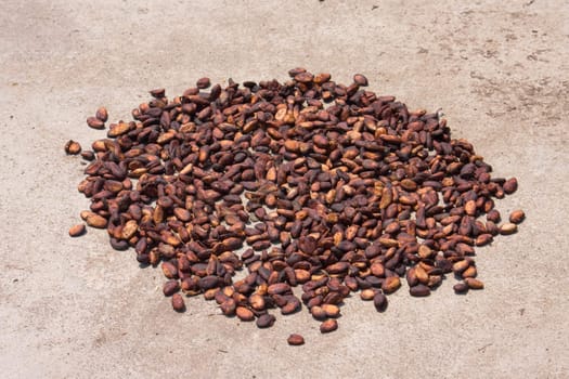 Cocoa beans from Ambanja, Madagascar