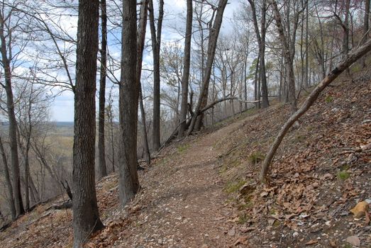 Hiking trail in rural North Carolina