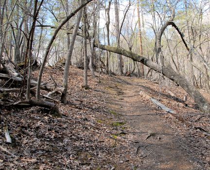 Hiking trail in rural North Carolina