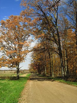 A photograph of a road in autumn.