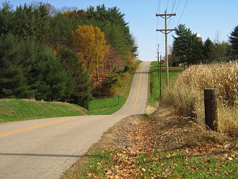 A photograph of a road in autumn.