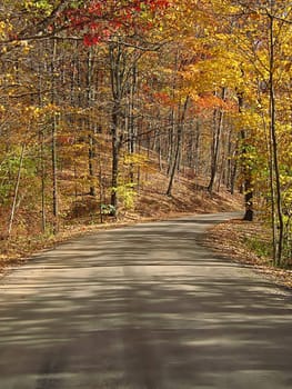 A photograph of a road in autumn.