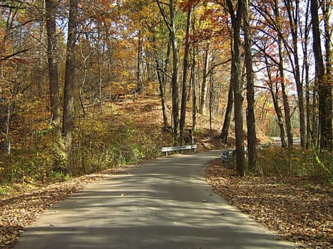 A photograph of a road in autumn.