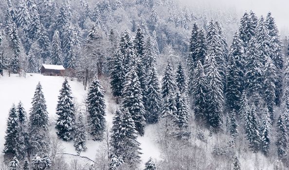 Winter scene. Small house in snow covered woods in the Swiss Alps.