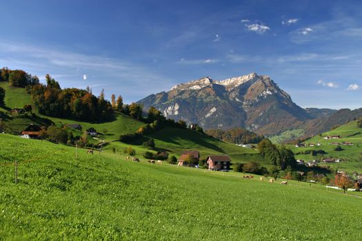 Green field and mountain