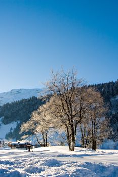 Snowy winter morning in the Swiss Alps