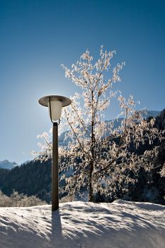 Lamp-post and tree in winter with blue sky