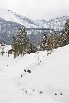 Winter landscape in Switzerland.