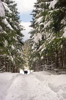 A snow path in Switzerland.