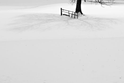 Tree and fence shadow on snow.