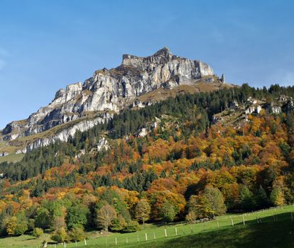 Landscape: Colored trees and mountain in the Swiss Alps.