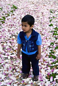 An indian child stopping by curiously enjoying the nature