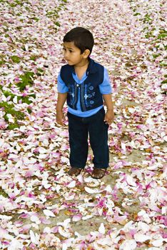 An indian child stopping by curiously enjoying the nature