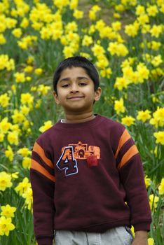 Happy Indian kid in a field of Daffodil flowers