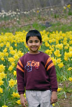 An Indian Kid with grandparents in a field of daffoldils